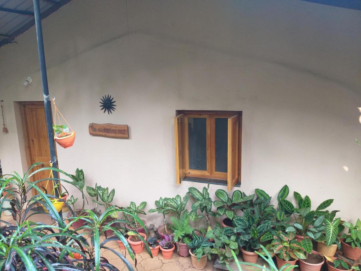 Borim The Enchanting Nest מראה חיצוני תמונה