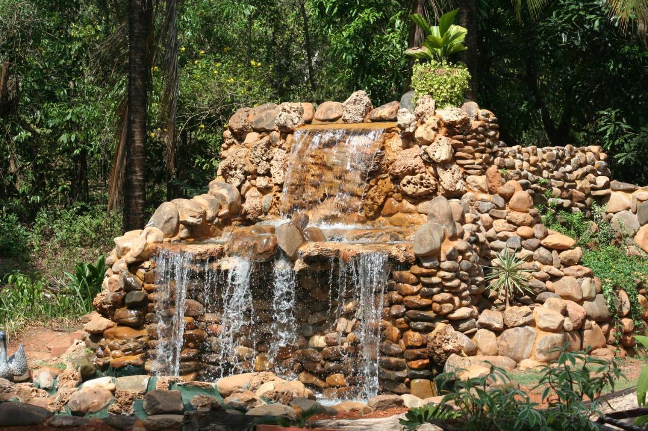 Borim The Enchanting Nest מראה חיצוני תמונה