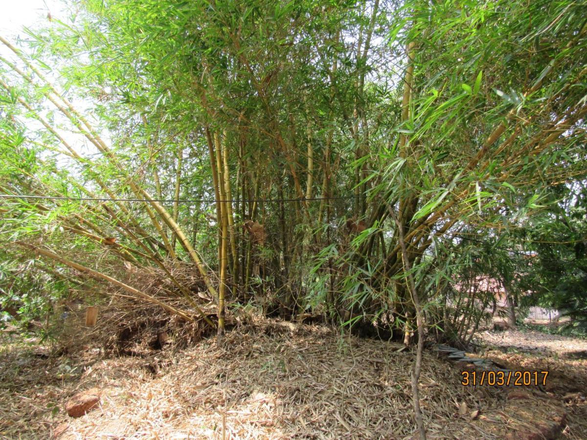 Borim The Enchanting Nest מראה חיצוני תמונה